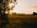Umianowice