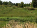 Bajkowy park edukacyjny powstanie w Pacanowie