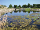 Ogród Botaniczny widok z oczka wodnego