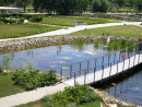 Widok oczka wodnego