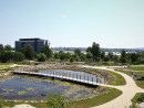 Widok z góry