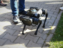 robot kroczacy