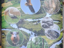 Tablica informacyjna Umianowice