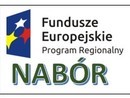 Ogłoszenie konkursu w ramach Poddziałania 9.3.1 Wsparcie sektora ekonomii społecznej