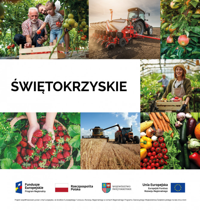 Porozmawiają o potencjale sektora spożywczo-przetwórczego