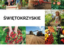Porozmawiają o potencjale sektora spożywczo-przetwórczego