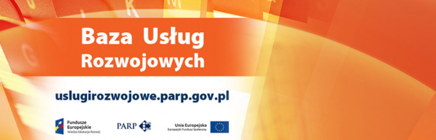 Grafika dotycząca Bazy Usług Rozwojowych