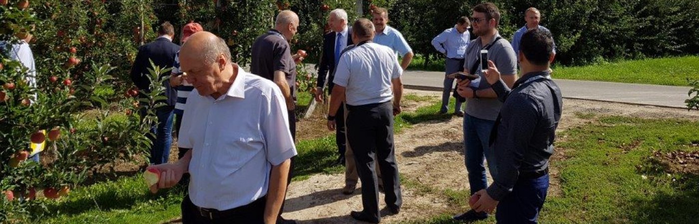 IV edycja międzynarodowych spotkań sieciujących B2B pn.: „Potencjał eksportowy i handlowy świętokrzyskich producentów sektora spożywczo-przetwórczego”
