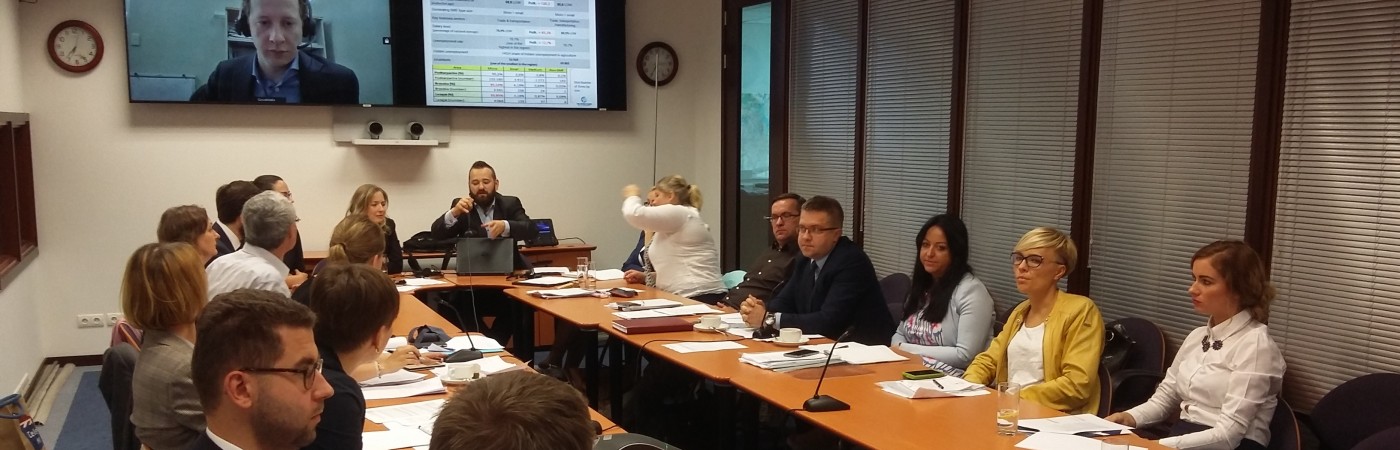 Uczestnicy spotkania Komitetu Sterującego projektu Lagging Regions
